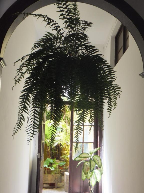 Отель Casa Colonial Cejas Санта-Крус-де-Тенерифе Экстерьер фото